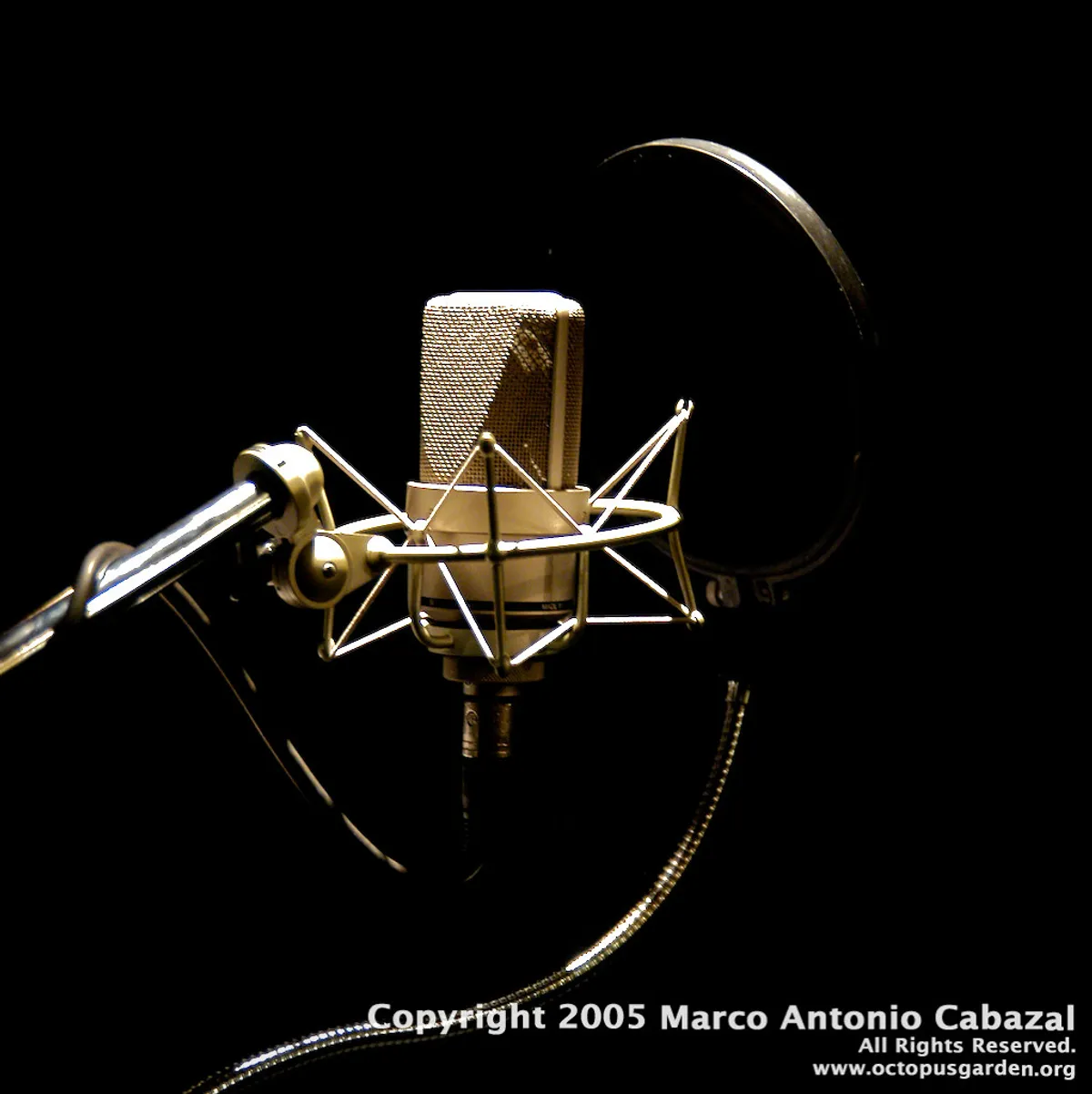 LumiCaster Pro USB Microphone
